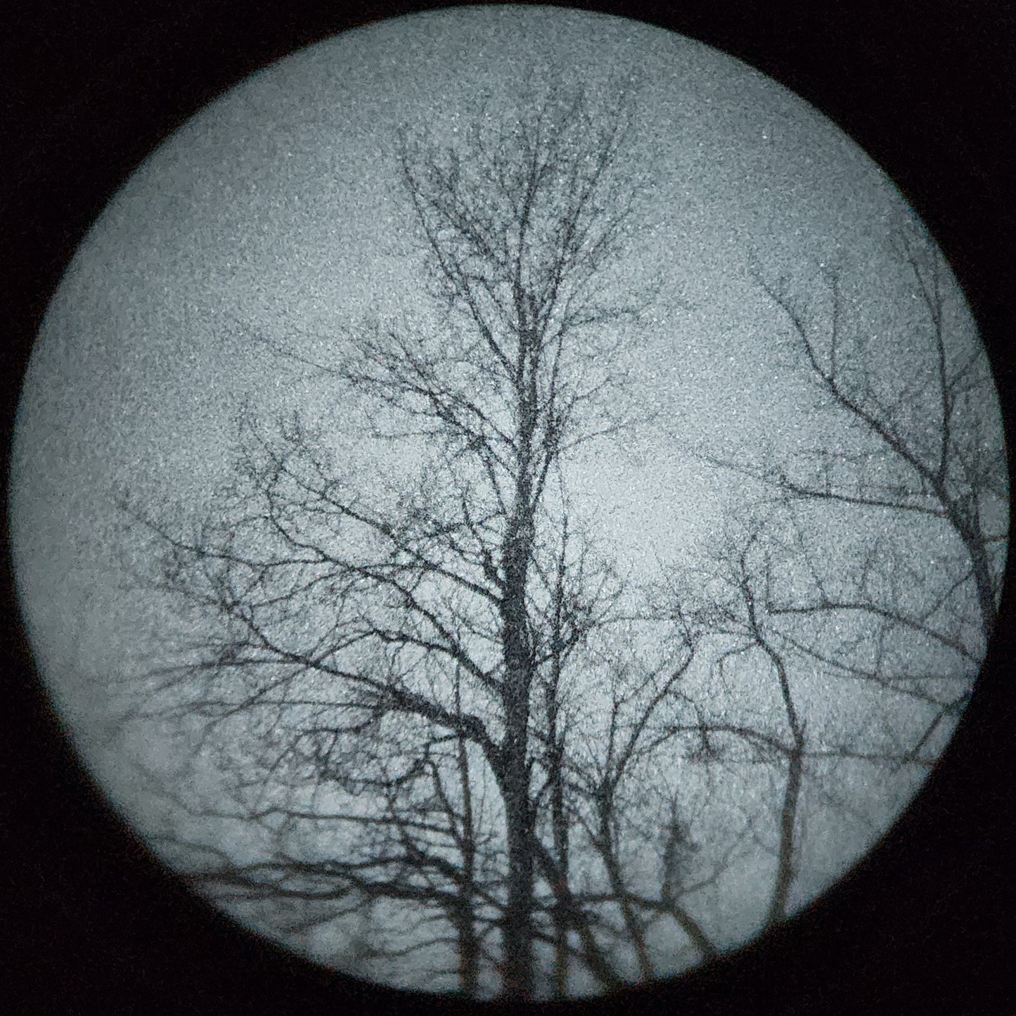 Starlight Foundry - Duals