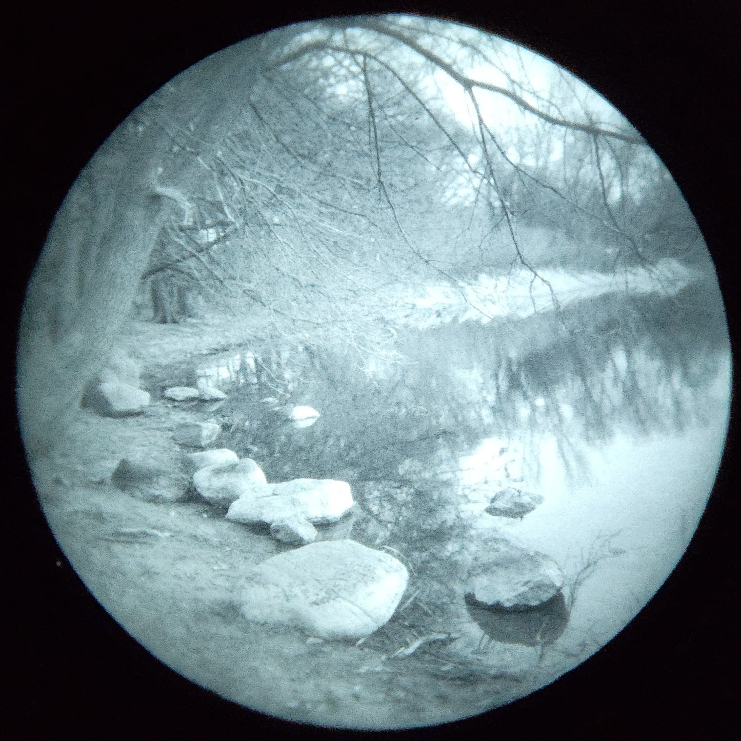 Starlight Foundry - Duals