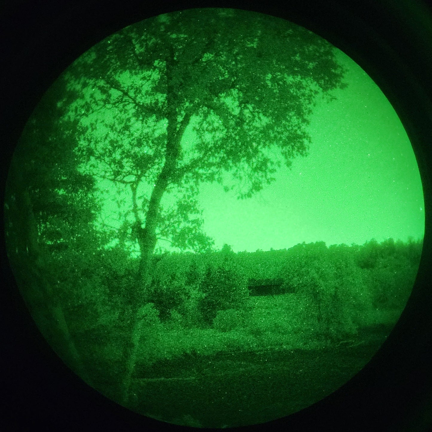 Starlight Foundry - Duals