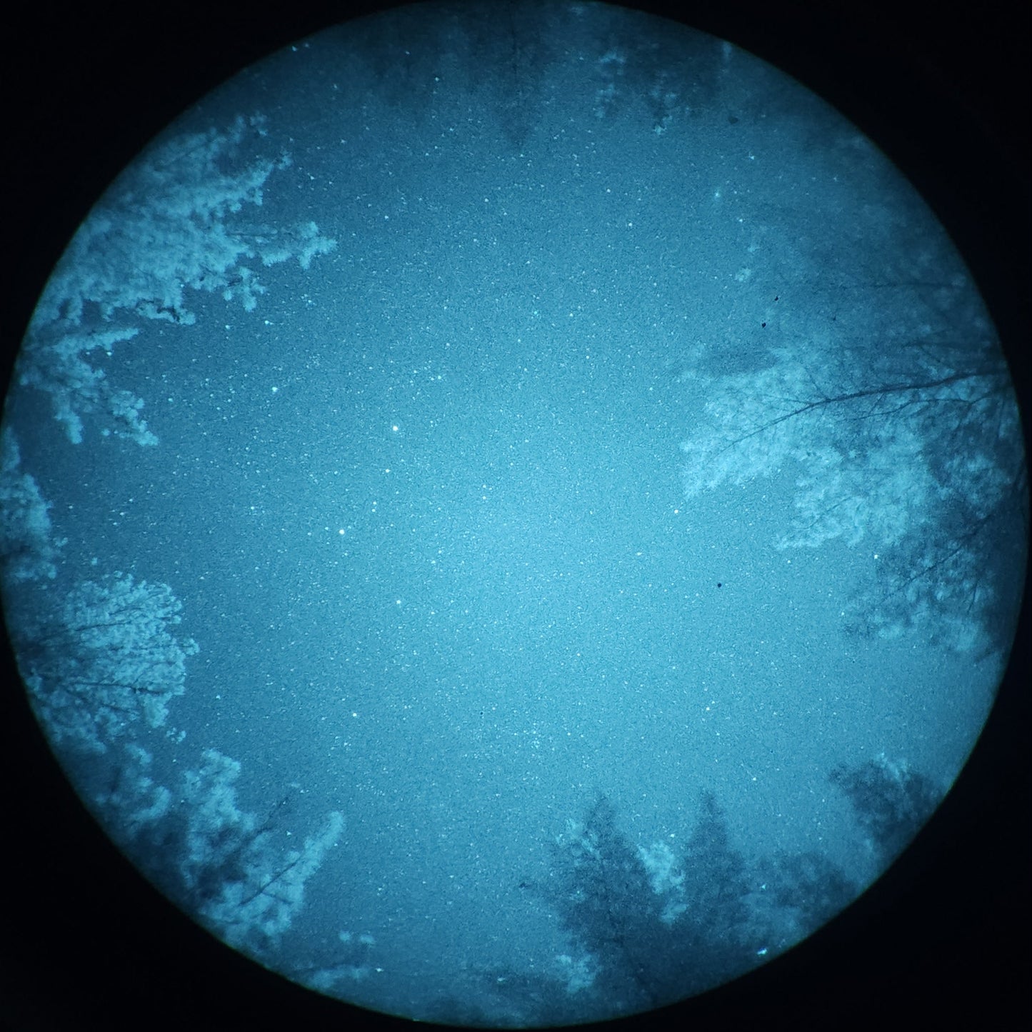 PVS-14R