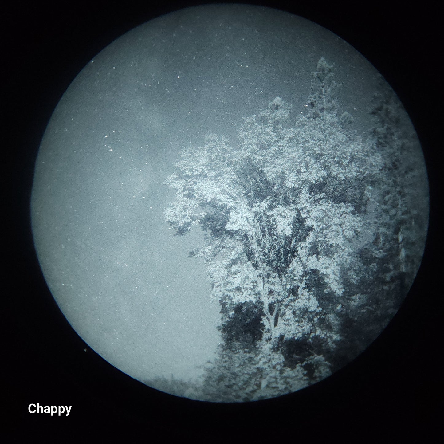 Starlight Foundry - Duals