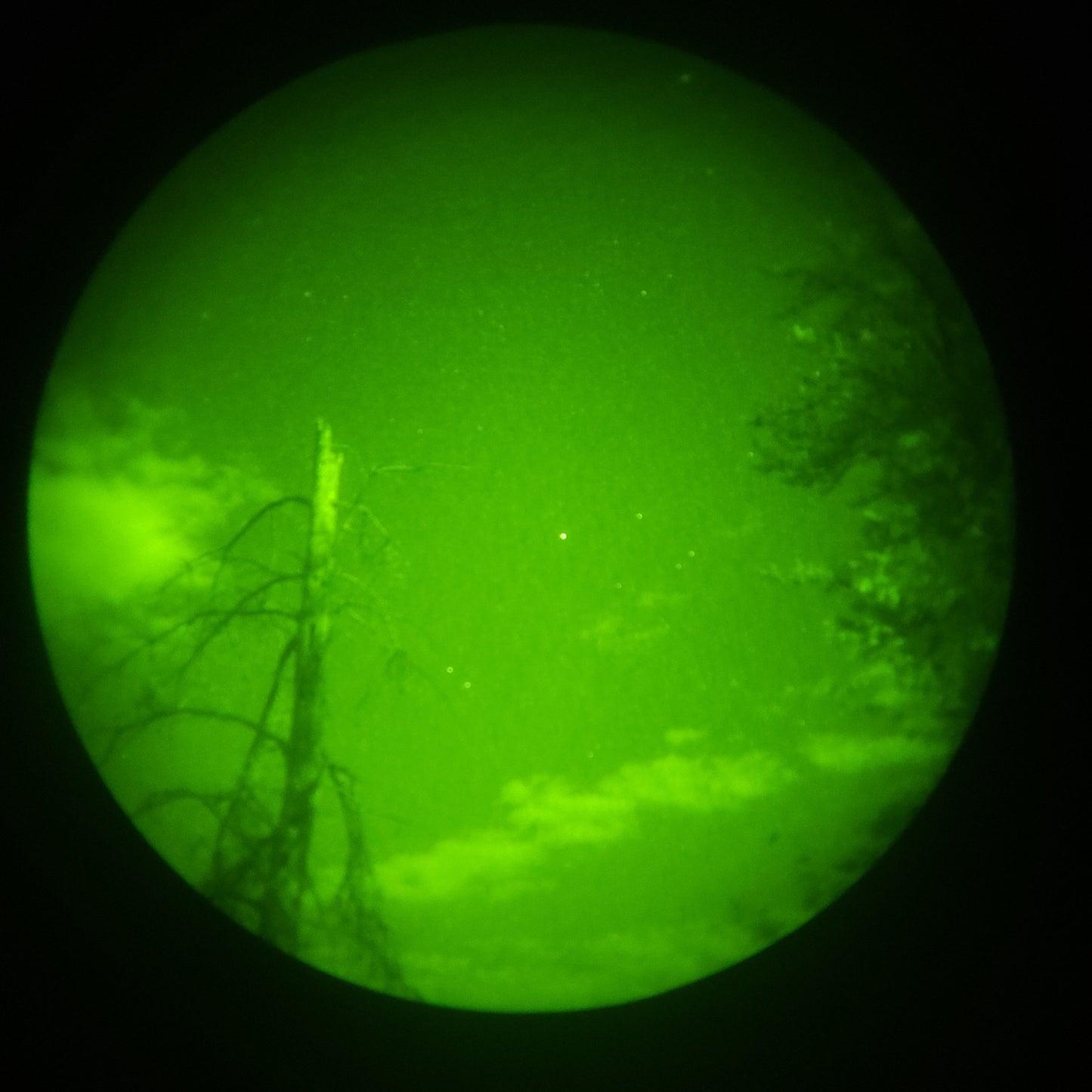 Gov Surplus/Refurbished Green Phosphor PVS-14