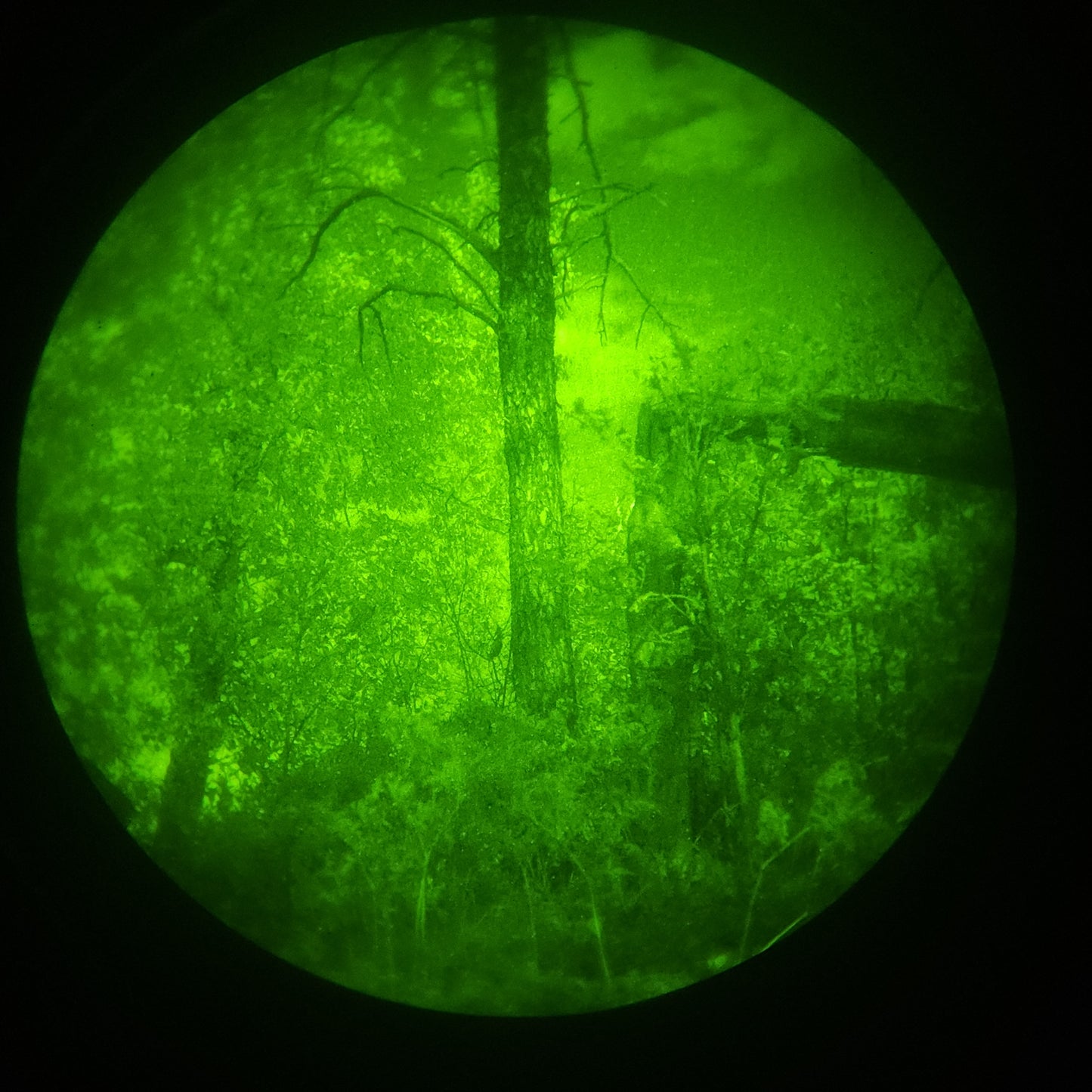 Gov Surplus/Refurbished Green Phosphor PVS-14