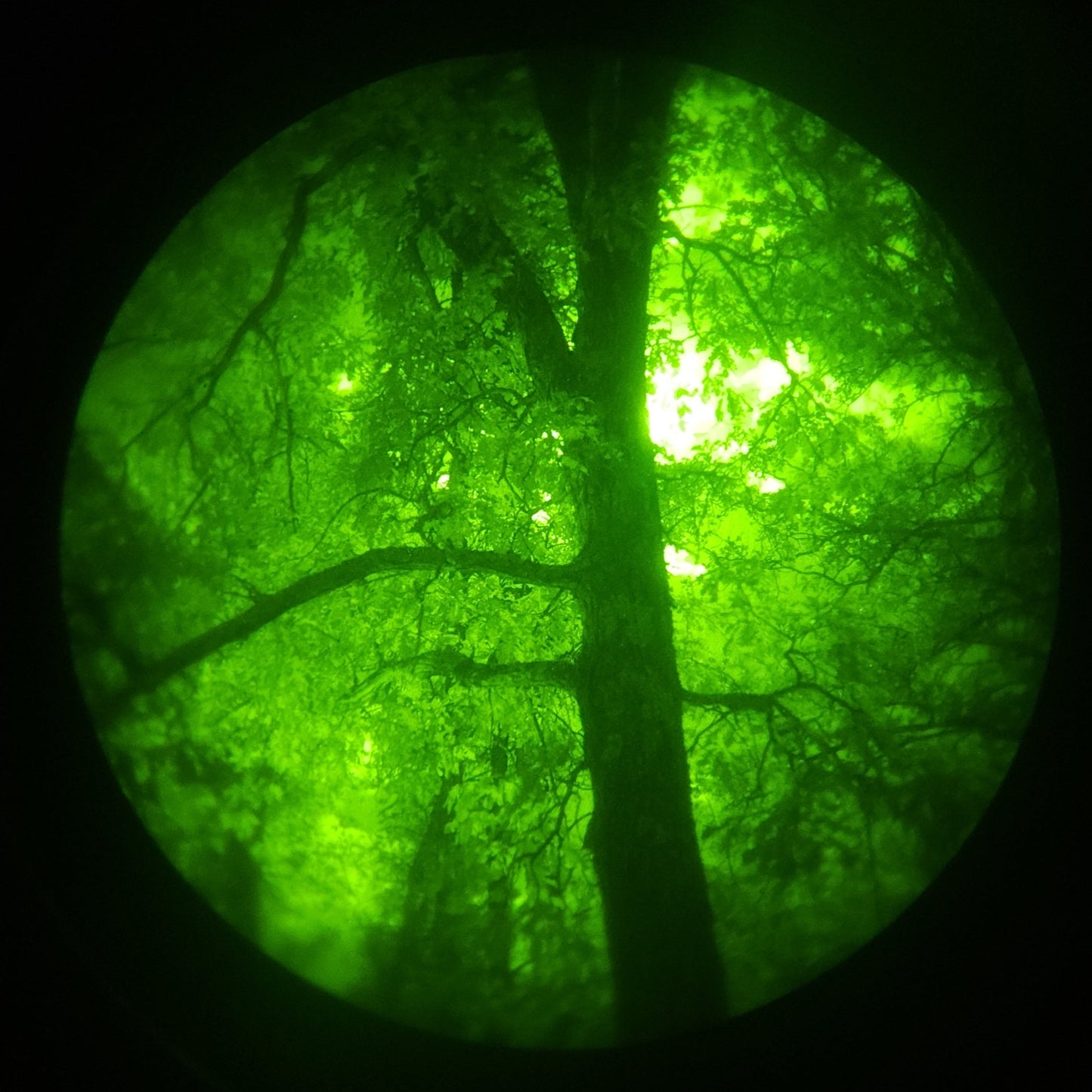 Gov Surplus/Refurbished Green Phosphor PVS-14