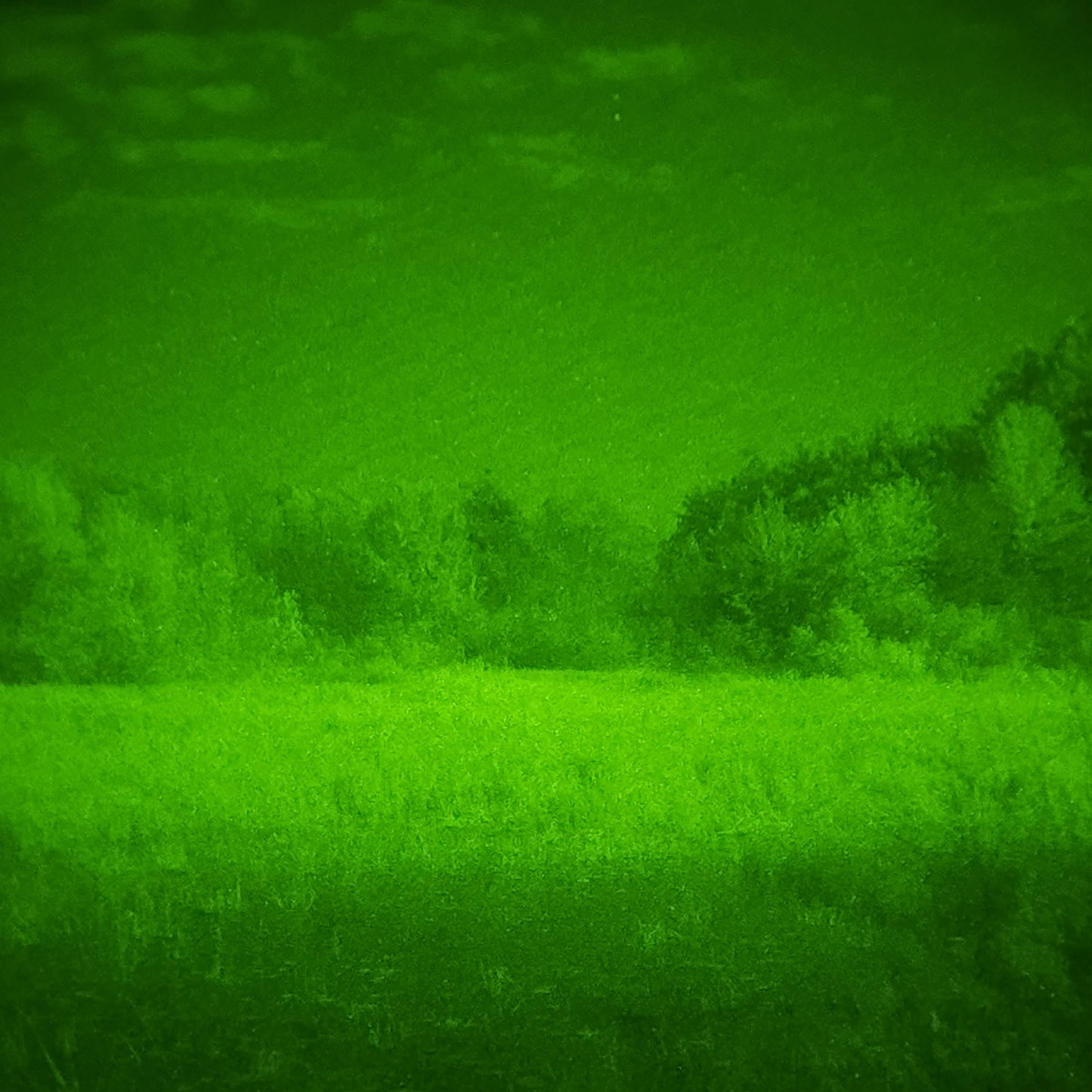 Gov Surplus/Refurbished Green Phosphor PVS-14