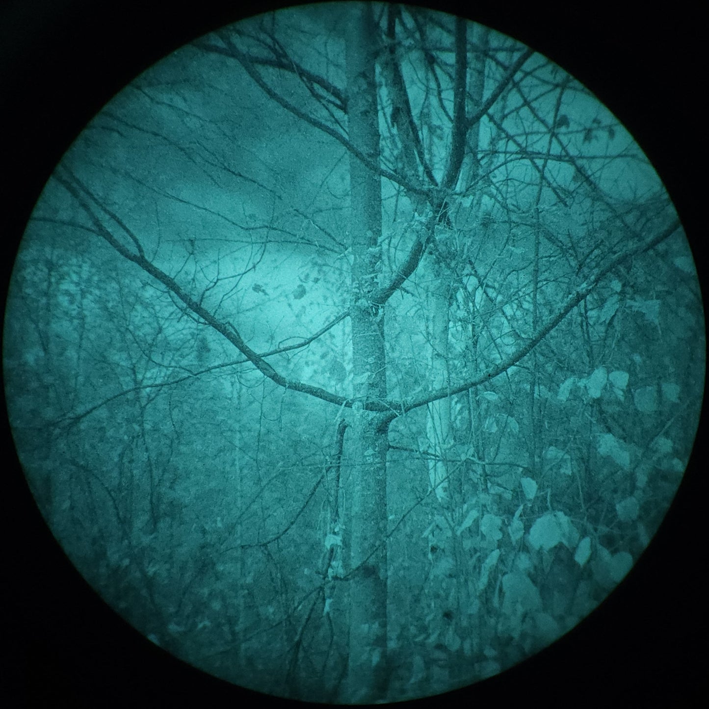 Night Hiker Kit